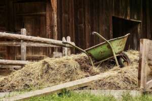 barn-4460490_1920_gimp