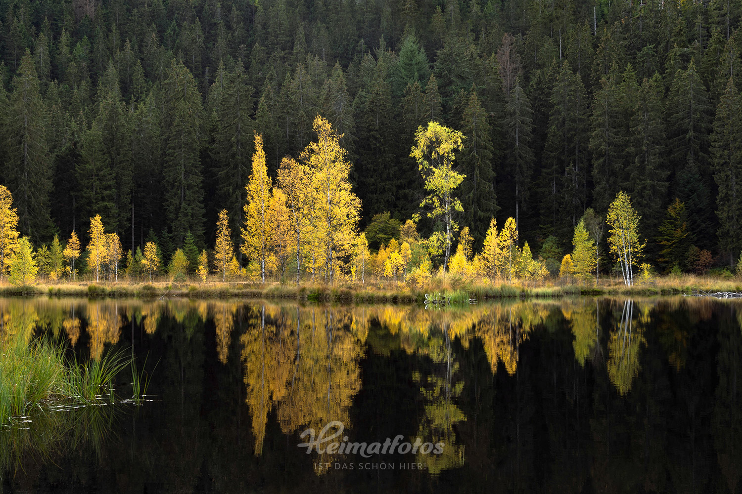 Ein Heimatfoto vom Buhlbachsee von Evi Seeger