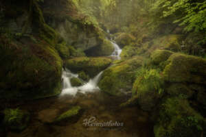 Heimatfoto aus dem Schwarzwald, Bach im Wald mit Wasserfällen
