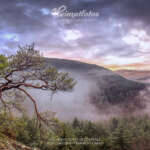 Heimatfotos Onlinemeetinghintergruende 16zu9 Pfalz von Heimatlicht Christian Fernandez Gamio ideal fürs Homeoffice und jedes Online-Meeting