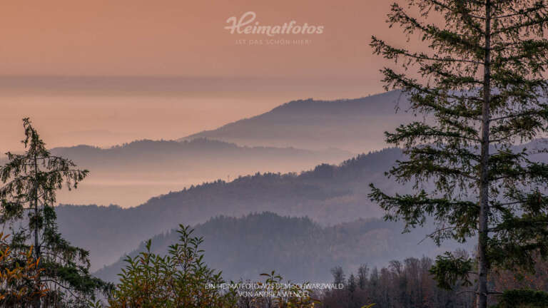 Heimatfotos Onlinemeetinghintergruende 16zu9 Schwarzwald von Heimatlicht Rolf Hillert ideal fürs Homeoffice und jedes Online-Meeting - Schwarzwald - Black Forest