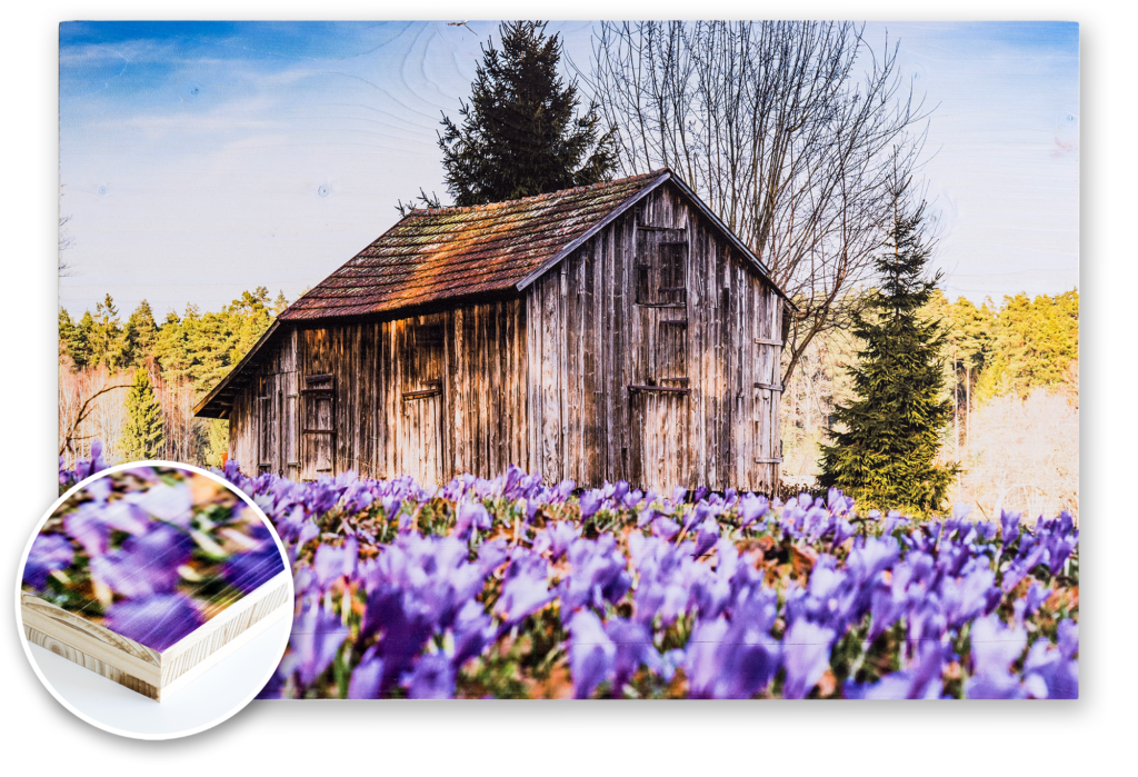 Ein Foto aus dem Nordschwarzwald gedruckt im UV-Direktdruck auf gebürstetes Holz