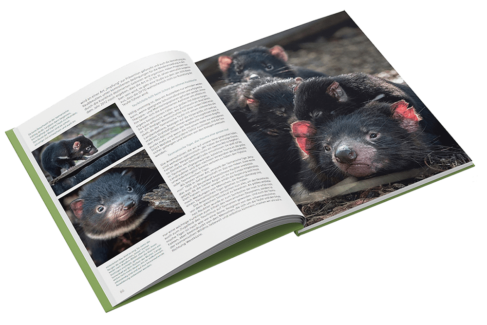 Daniel Spohn - Bildband Tasmanien