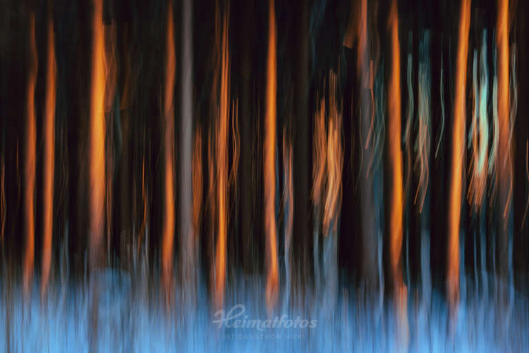 Ein Foto von Naturfotograf Stefan Imig - Wischer im Winter