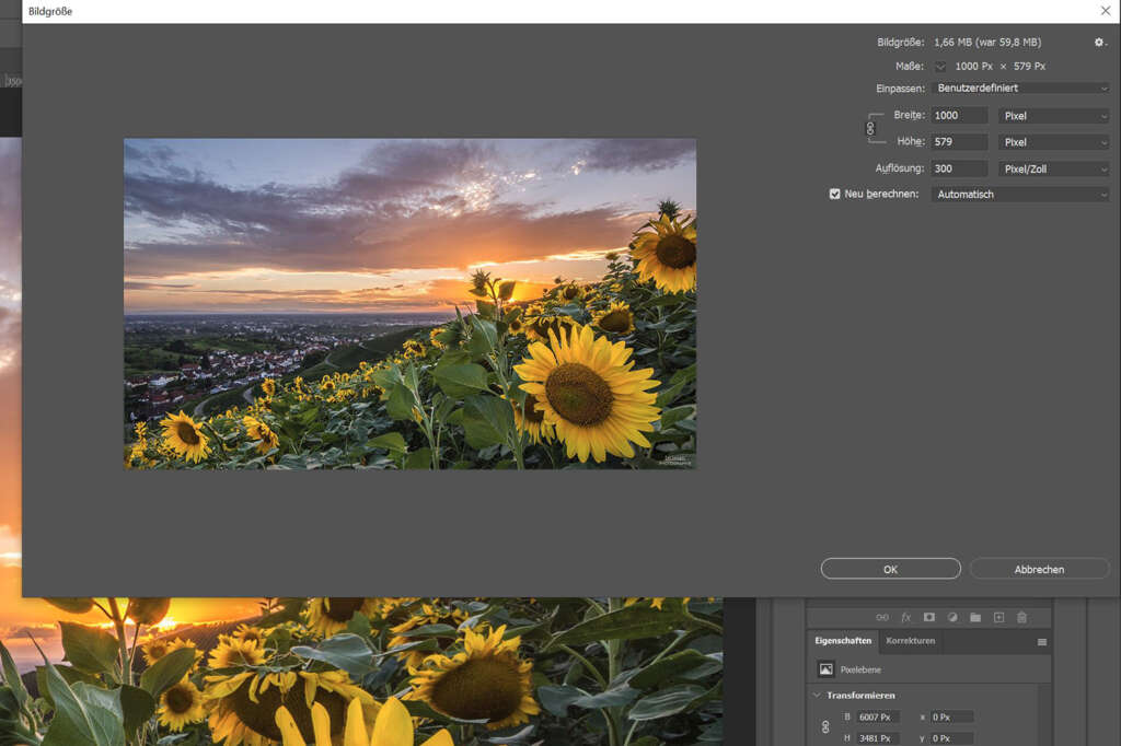 Anleitung: Schatten oder Rahmen hinter Foto mit Photoshop einfügen für eine virtuelle Ausstellung mit VR-EASY - Bild auf 1000 px verkleinern