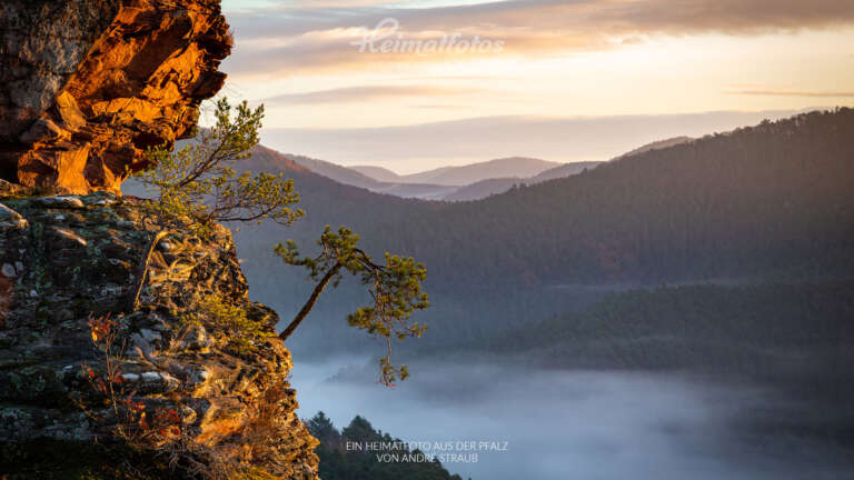 Heimatfotos als Fotohintergrund für Online-Meeting und Desktop - Pfalz und Pfälzerwald - Ein Foto von Heimatlicht André Straub