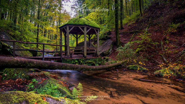 Heimatfotos als Fotohintergrund für Online-Meeting und Desktop - Pfalz und Pfälzerwald - Ein Foto von Heimatlicht Frank Müller