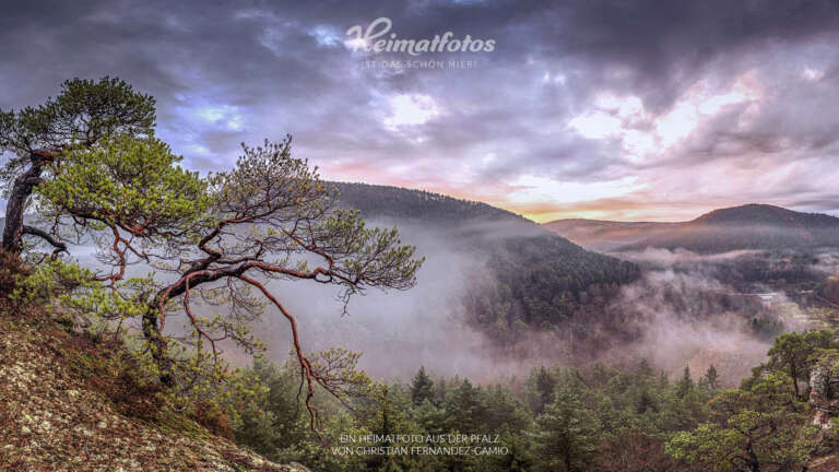 Heimatfotos als Fotohintergrund für Online-Meeting und Desktop - Pfalz und Pfälzerwald - Ein Foto von Heimatlicht Christian Fernandez-Gamio