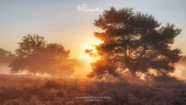 Heimatfotos als Fotohintergrund für Online-Meeting und Desktop - Pfalz und Pfälzerwald - Ein Foto von Heimatlicht Sven Maus