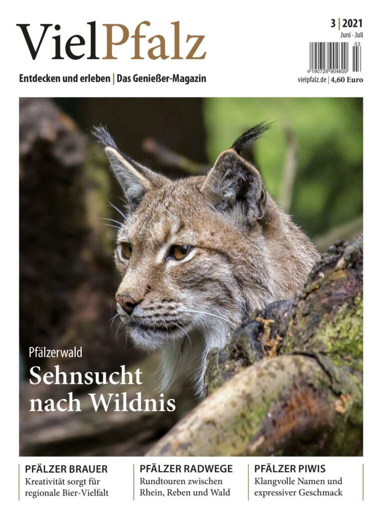 Titelseite Magazin VielPfalz - VielPfalz, Entdecke und erleben, Das Genießer-Magazin. Themen: Pfälzerwald - Sehnsucht nach Wildnis, Pfälzer Brauer - Kreativität sorgt für regionale Bier-Vielfalt, Pfälzer Radwege - Rundtouren zwischen Rhein, Reben und Wald, Pfälzer Piwis - Klangvolle Namen und expressiver Geschmack