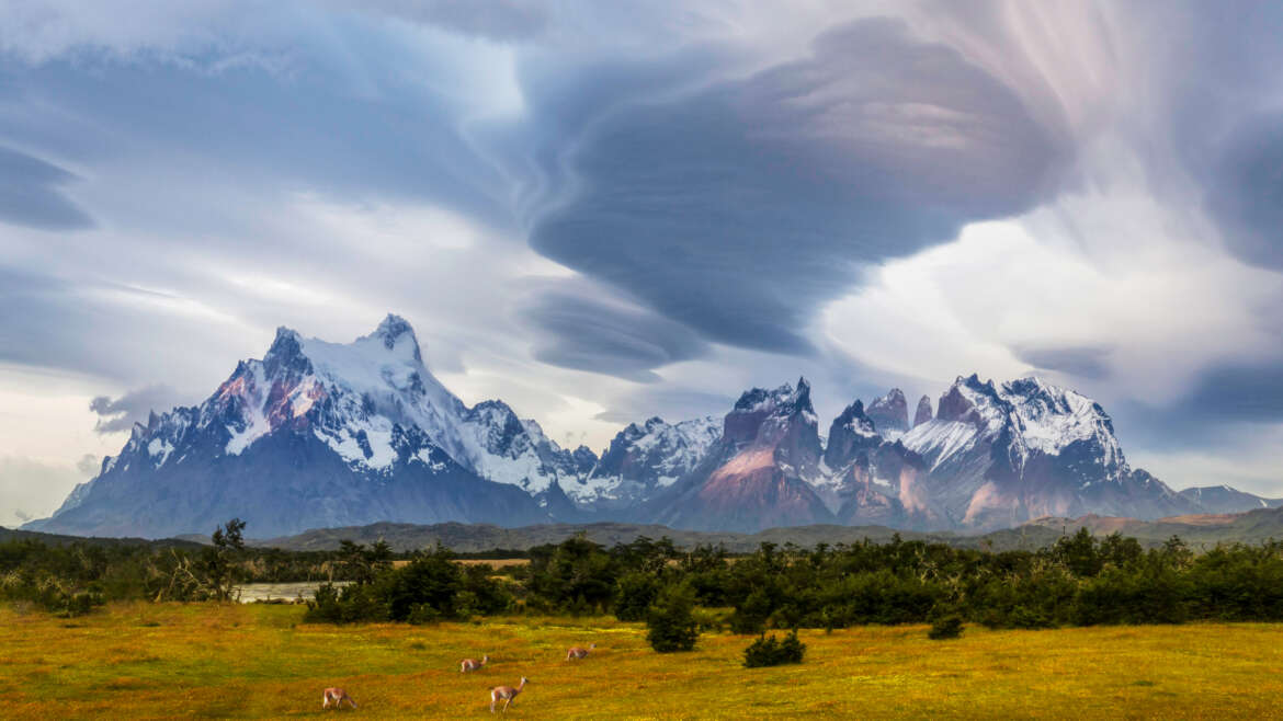 digitalPhoto Wibke Pfeiffer