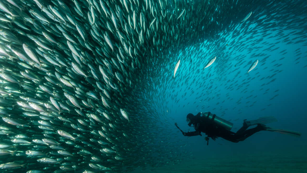 digitalPhoto Wibke Pfeiffer