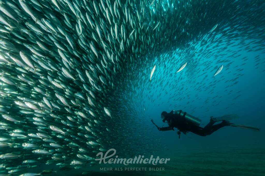 digitalPhoto Wibke Pfeiffer