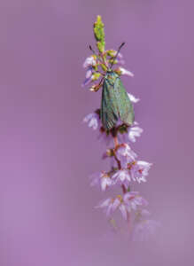 Ulla Lohmann Reisefotografie Expeditionsfotografie