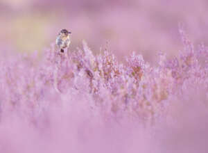 Ulla Lohmann Reisefotografie Expeditionsfotografie