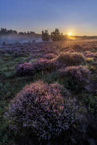 Ulla Lohmann Reisefotografie Expeditionsfotografie