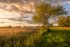 Sven Plöger wetter fotografie