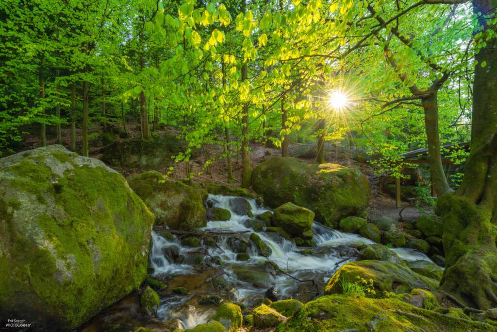 Gertelbach mit Blendenstern, Kleine Objektivkunde von Evi Seeger