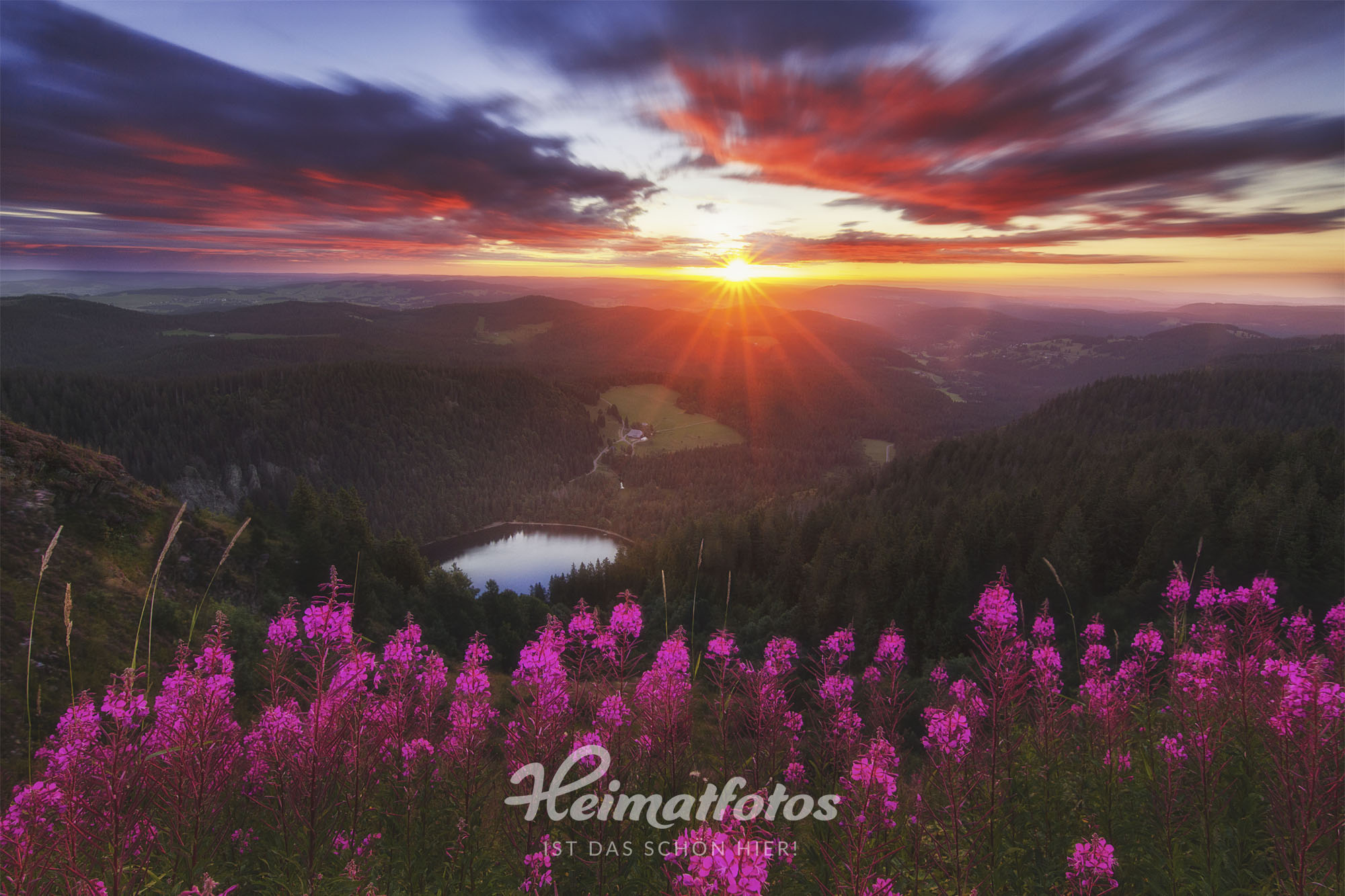 Nick Schmid - Sonnenaufgang, Feldberg, Schwarzwald, Nick Schmid
