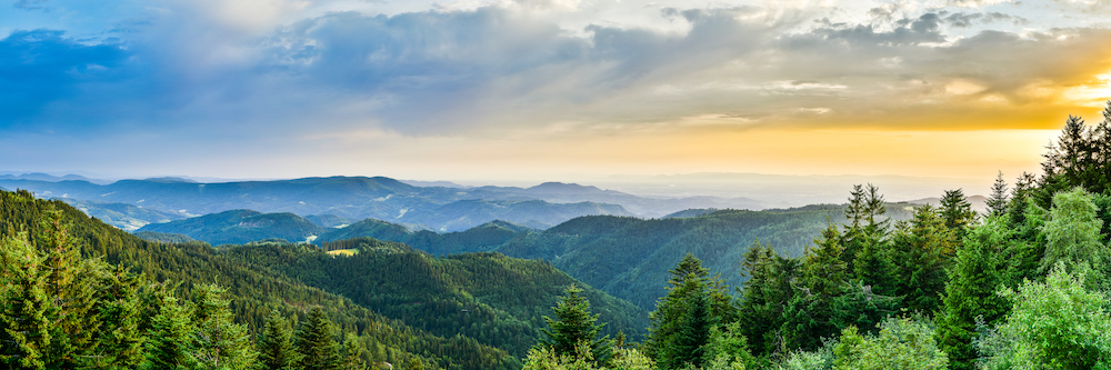 Robert-Laun-Schliffkopf