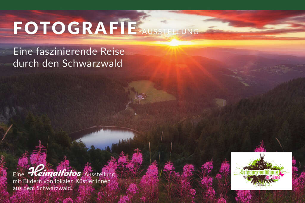 Ausstellung im Schwarzwaldhaus der Sinne