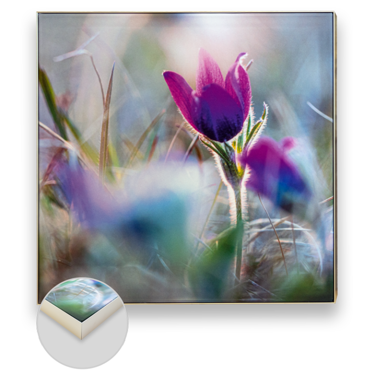 Produktbild eines Akustikbilds mit Blumen-Motiv, Aluminium Keder Profil und schallabsorbierendem Schaum