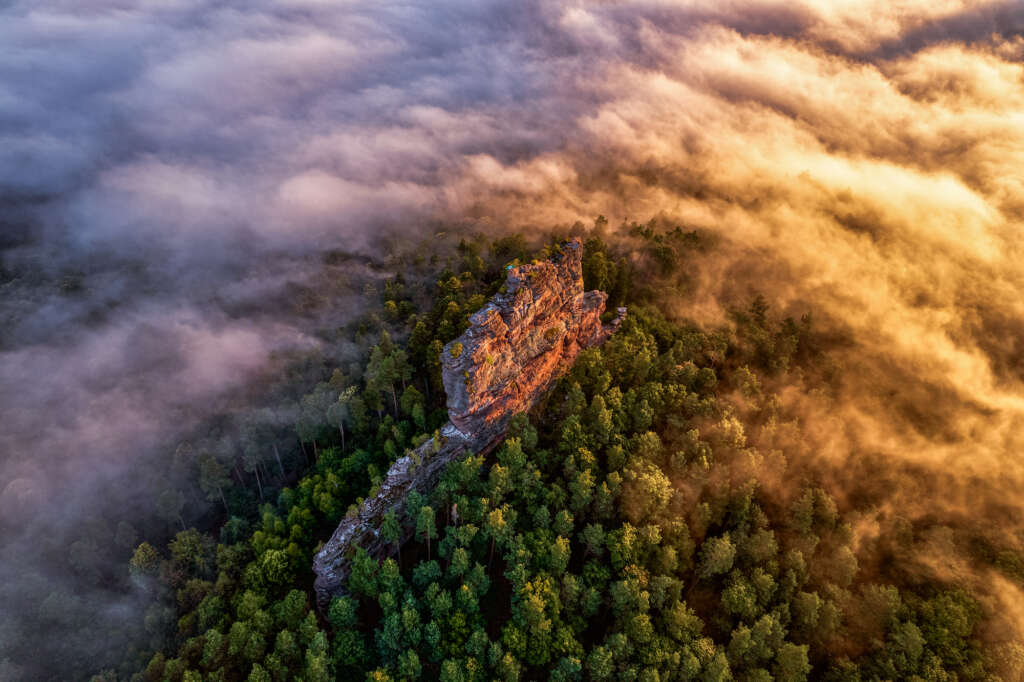 Asselstein von Christian Fernandez Gamio