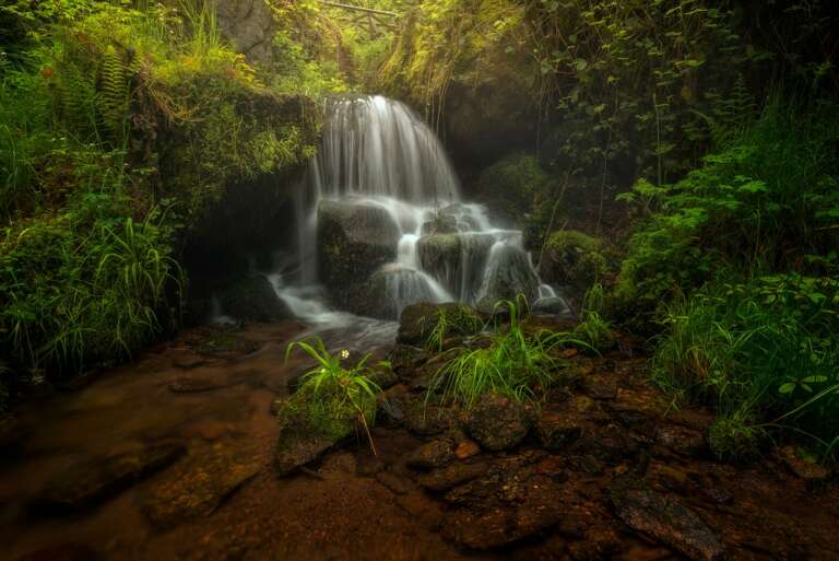 Foto Gertelbachfälle von Niko Benas ist das Titelbild der Ausstellung "Faszinierende Reise durch den Schwarzwald"