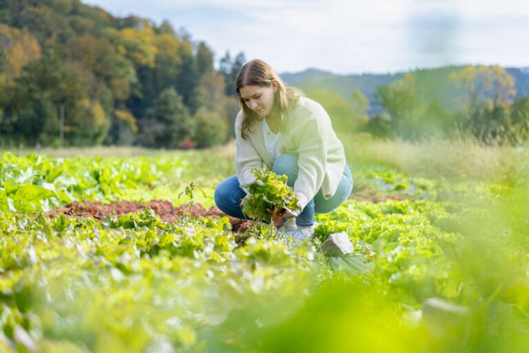 Fotoproduktion für die Schwarzwald Torusmus GmbH für das Projekt "Mein Dorfurlaub" in Dreisamtal