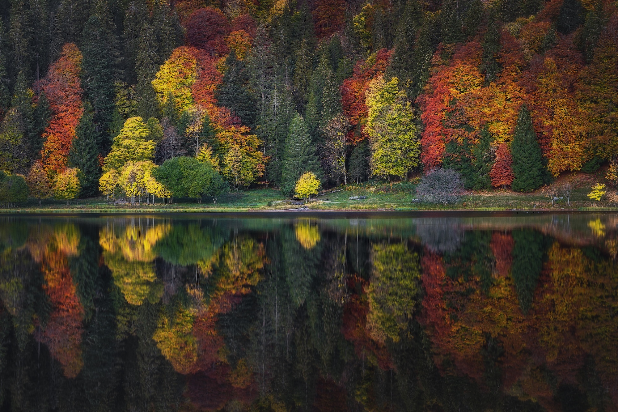 Herbst am Feldsee von Nick Schmid. Titelbild der Heimatfotos-Ausstellung am Feldberg